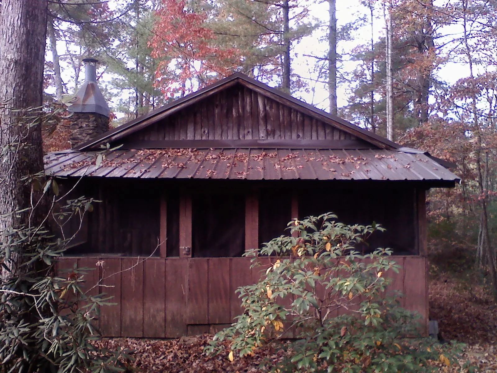Metal roof over the screened porch of a rustic cabin in Polo